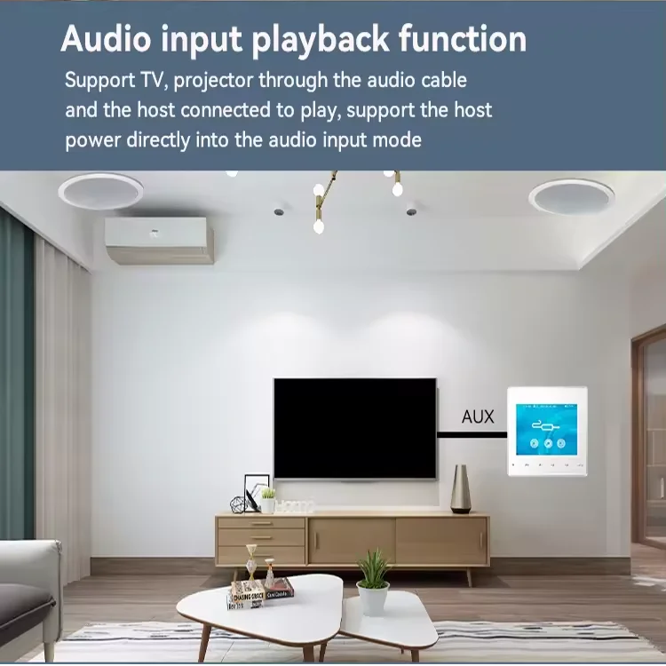 홈 블루투스 벽 증폭기 배경 음악 호스트 제어 시스템  - Home Cinema Bluetooth 리뷰 및 가격