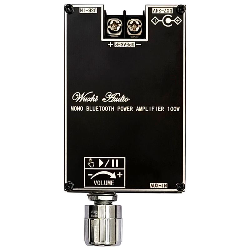 블루투스 5.1 TPA3116 D2 모노 100W Bt - Home Cinema Bluetooth 리뷰 및 가격