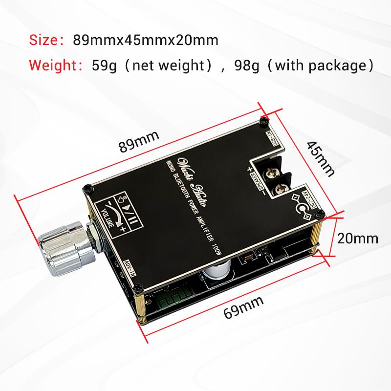 블루투스 5.1 TPA3116 D2 모노 100W Bt - Home Cinema Bluetooth 리뷰 및 가격