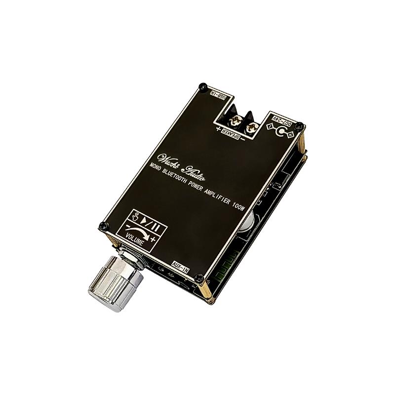 블루투스 5.1 TPA3116 D2 모노 100W Bt - Home Cinema Bluetooth 리뷰 및 가격