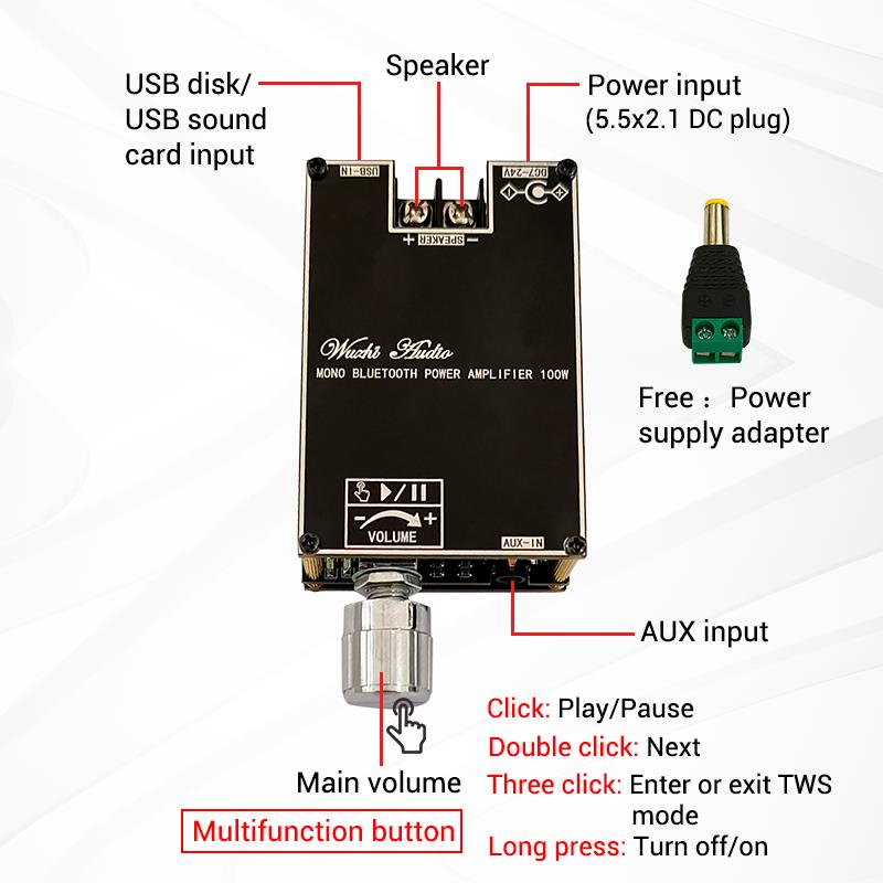 블루투스 5.1 TPA3116 D2 모노 100W Bt - Home Cinema Bluetooth 리뷰 및 가격
